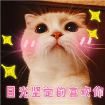 微信猫猫表情包开学