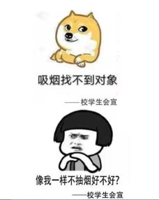 西安高校一夜之间挂满禁烟表情包吸烟找不到对象