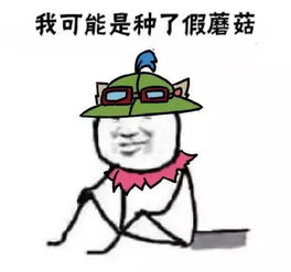 我可能遇见了假x系列1我可能玩了假lol
