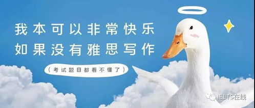 雅思雅思考生的2019年终总结