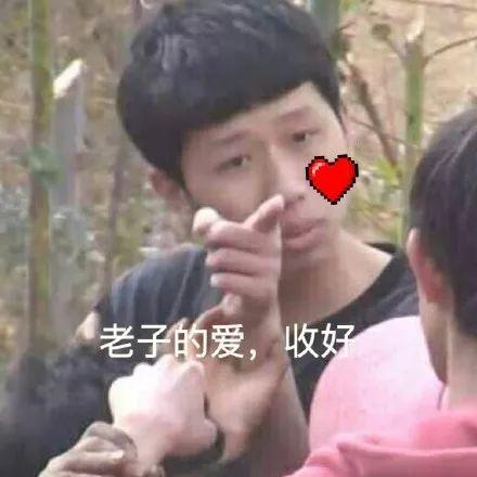 最新老子的爱收好表情包大全老子的爱请收好表情包王境泽民国合集