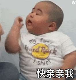 热门表情精选i难道有别的狗了