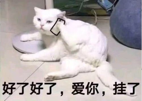 她是为了不被财阀看上才故意放飞成这样的吗