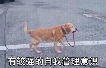 沙雕表情包不谈恋爱,屁事没有,怎么还不回我信息
