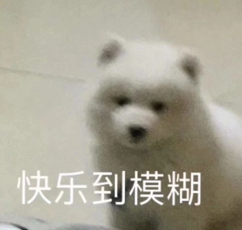 祝我生日快乐,牛宝生日快乐,edg战队主题日快乐疑似,娱...