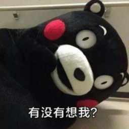 老王讲pmp一什么是项目