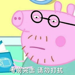 2018小猪佩奇高考加油表情包大全