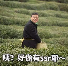丁磊的幸福观千亿财富比不上养好一头猪,我只是顺便赚钱