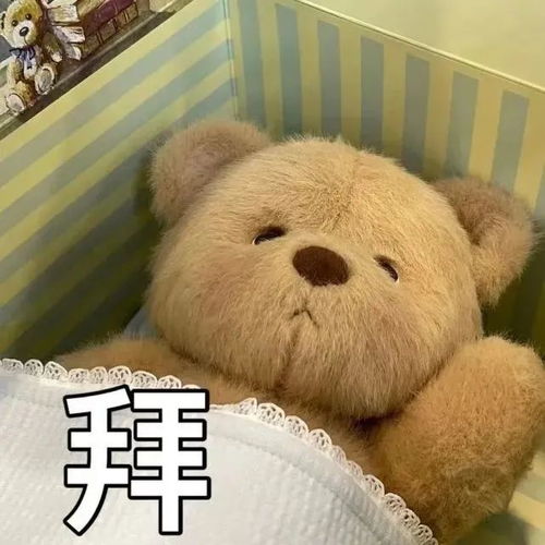 敲可爱的小熊表情包