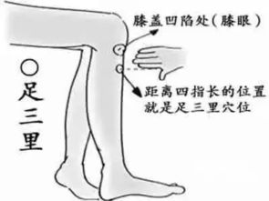 春节回家,长途奔波闪腰打嗝流鼻血一个穴位就能搞定