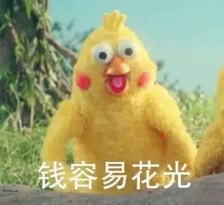 表情包鹦鹉兄弟,谁说成人的世界没有容易二字