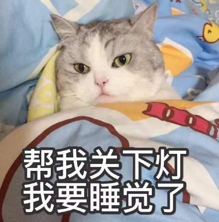 睡睡睡就知道睡表情包猫咪