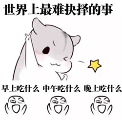 仓鼠版本小目标