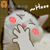呆呆小熊恶搞猫狗表情