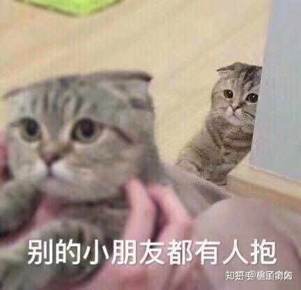 适合撩汉的可爱猫猫狗狗表情包速来收藏