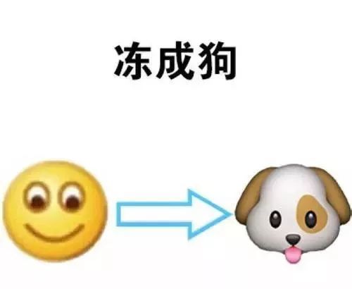 双11江浙沪皖包邮的冷空气已发货,最低0