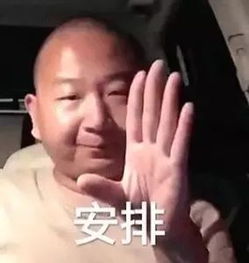 孩子还在看光头强快来收藏暑期好电影