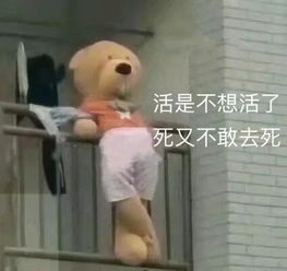 讽刺胖子的表情包骚扰