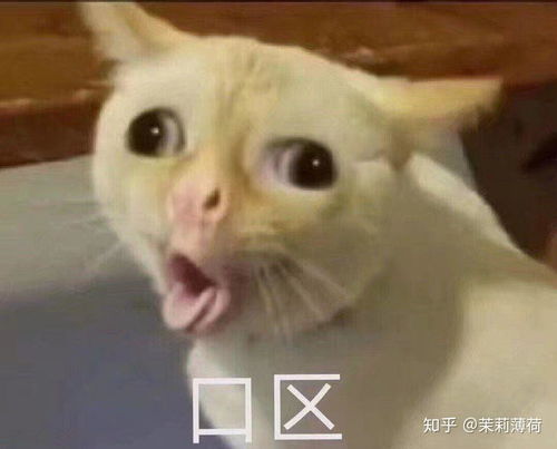 可以推荐下适合油皮女孩的护肤品,化妆品吗