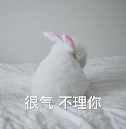 表情包晚安,有机会一起睡觉