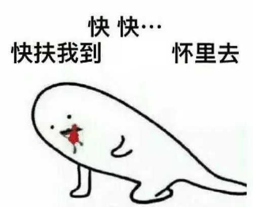 那些支撑我活下去的表情包