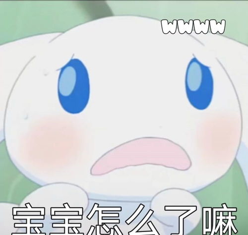 可爱玉桂狗表情包分享公主聊天必备