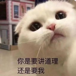 为啥娃只在妈妈面前zuo无底限