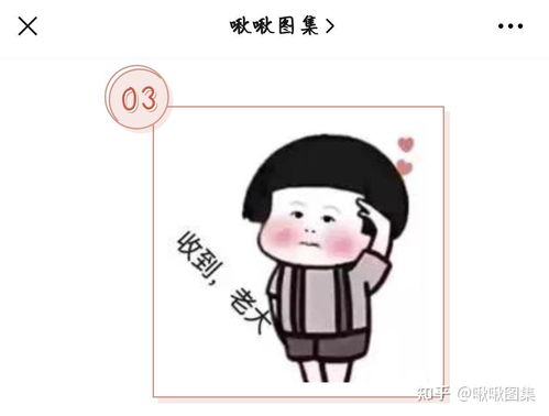 35关于回复收到的表情包