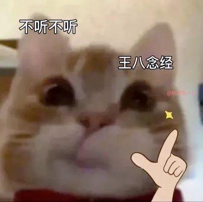 最新歪嘴猫自怕表情