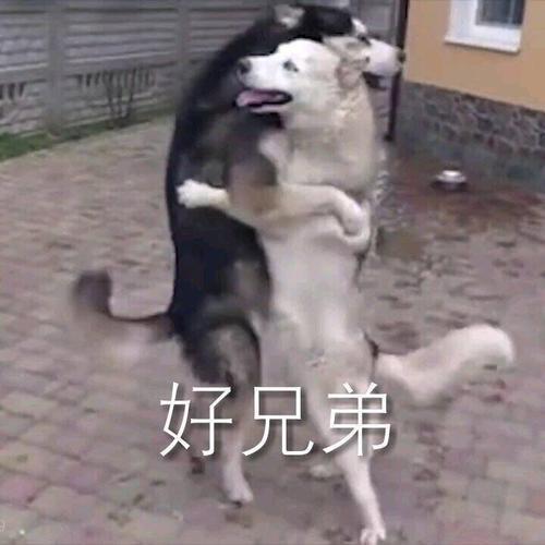 你为什么会得肝病