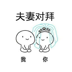 拜天地表情包
