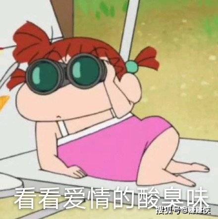 热门表情包图片别过来,我怕狗