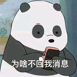 为啥给我发私信我不回