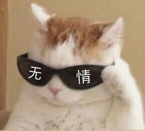 拒单挑单这些司机永久拉黑
