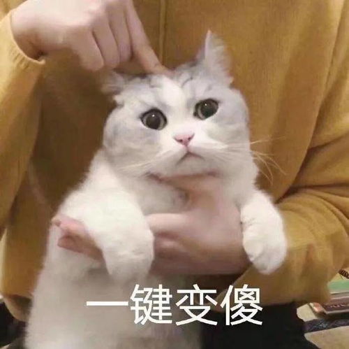 微信斗图表情包搞笑gif动态图给姐爬出去
