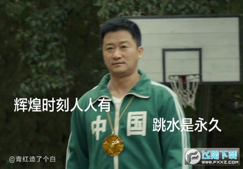 吴京奥运会表情包合集高清版下载飞翔下载