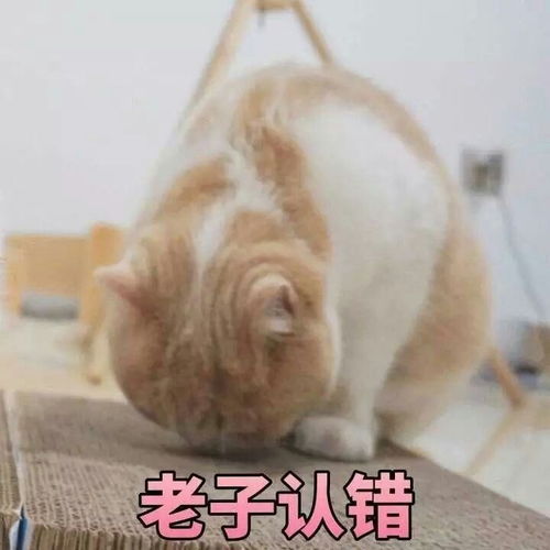 女生有男朋友之后才知道的事情有哪些