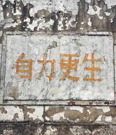 漫画书法表情包三行诗等,河海的这些校园廉洁文化作品也太有创意了吧