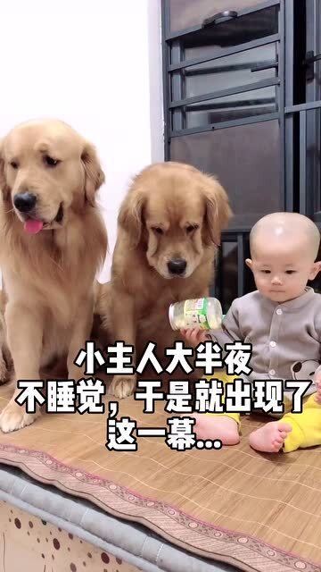 小主人大半夜不睡觉,于是就出现了这一幕