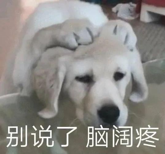不化妆又想皮肤好请把这个素颜利器,推给所有打工人