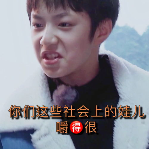201张养猪综艺表情包终于做出来尺寸微信用合适