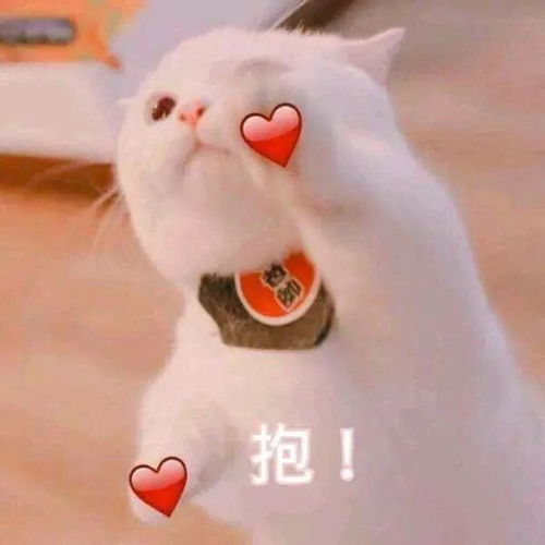 2018年都快过完了,这些护肤谣言你居然还信