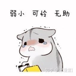 用仓鼠擦眼泪表情包