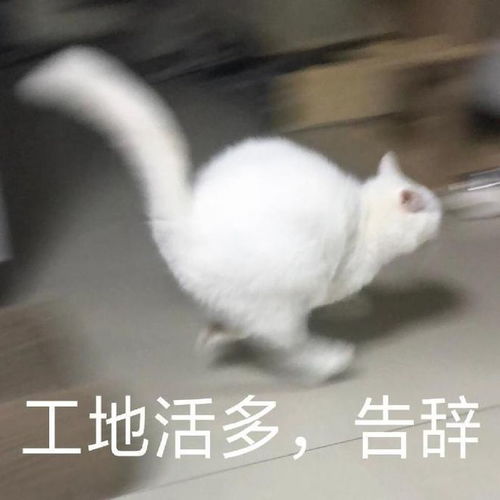 轻松一刻武汉大学生4天骨折两次,只因对这事太兴奋
