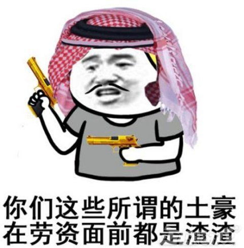 史上最豪玩家国外土豪砸45万就为装饰下头像,奢侈吊打王思聪