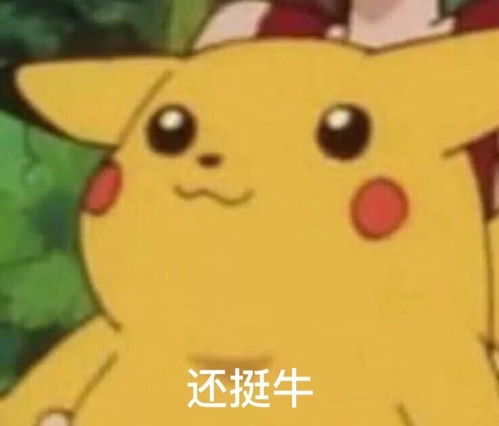 表达完蛋的表情包表情
