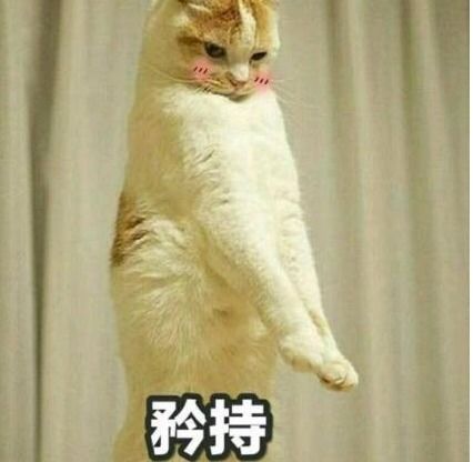 幽默段子那年和女神表白,她残忍的拒绝了我们年龄差距太大