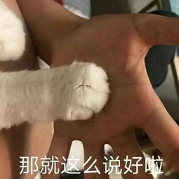 深扒女生化妆的背后啊啊啊看完太扎心了