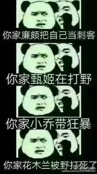 王者荣耀斗图表情包第147期你家李白不会开大