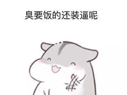 抖音小仓鼠高清无水印表情包合集超萌